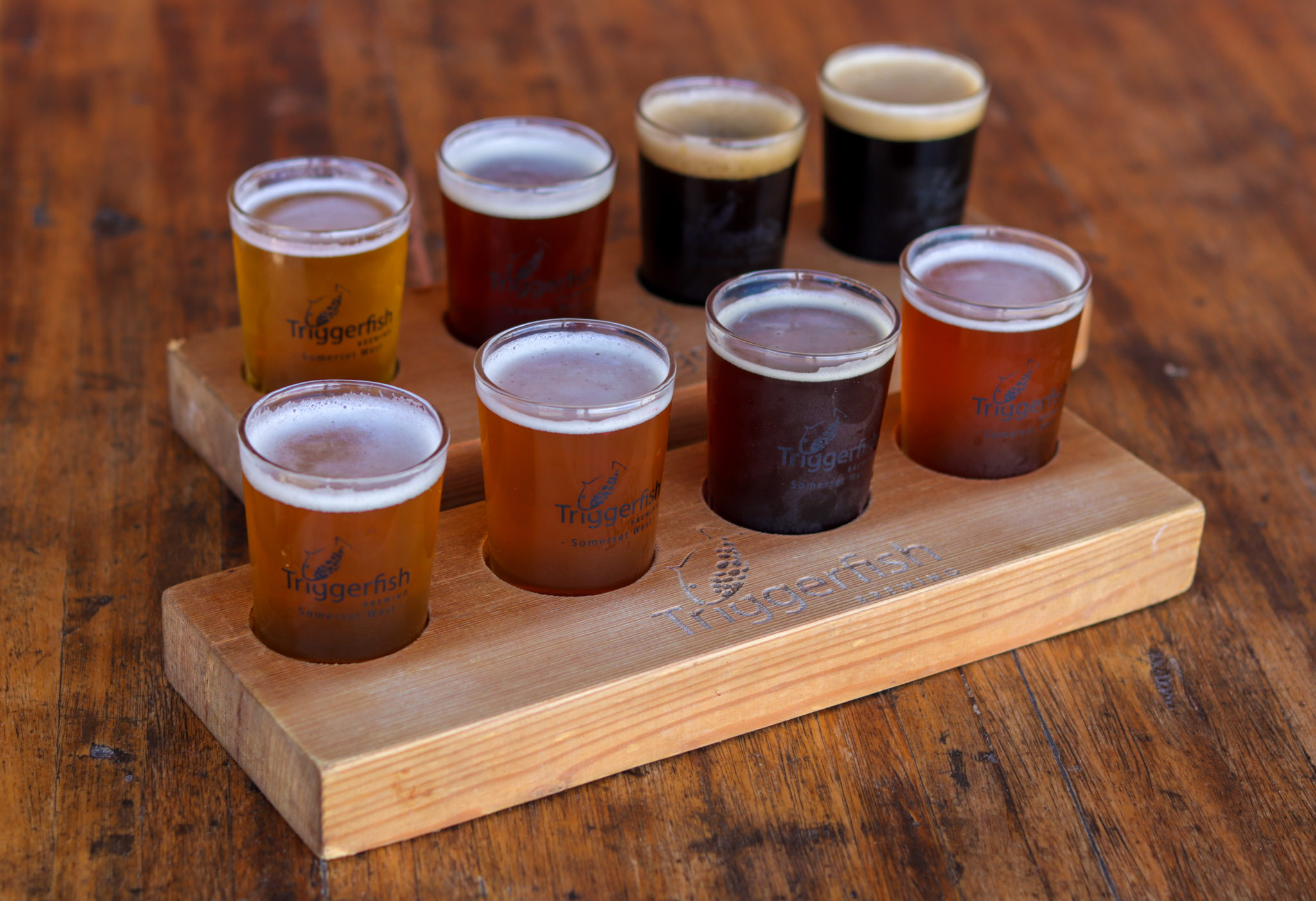 Triggerfish Brewery Craft Beer